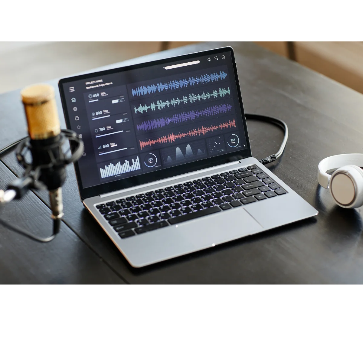 Programy do nagrywania w La Musique